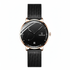 Minimalist Mesh Business Watch VELION in premium leather box presentation