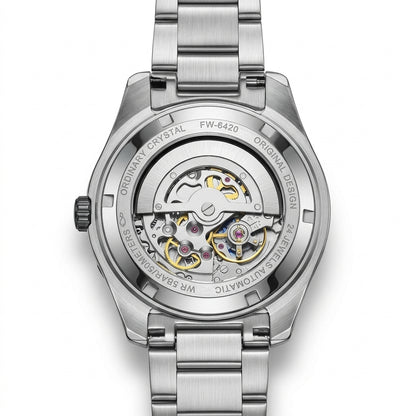 Fairwhal FW-6960 Tourbill - luxury watch, stainless steel, white background