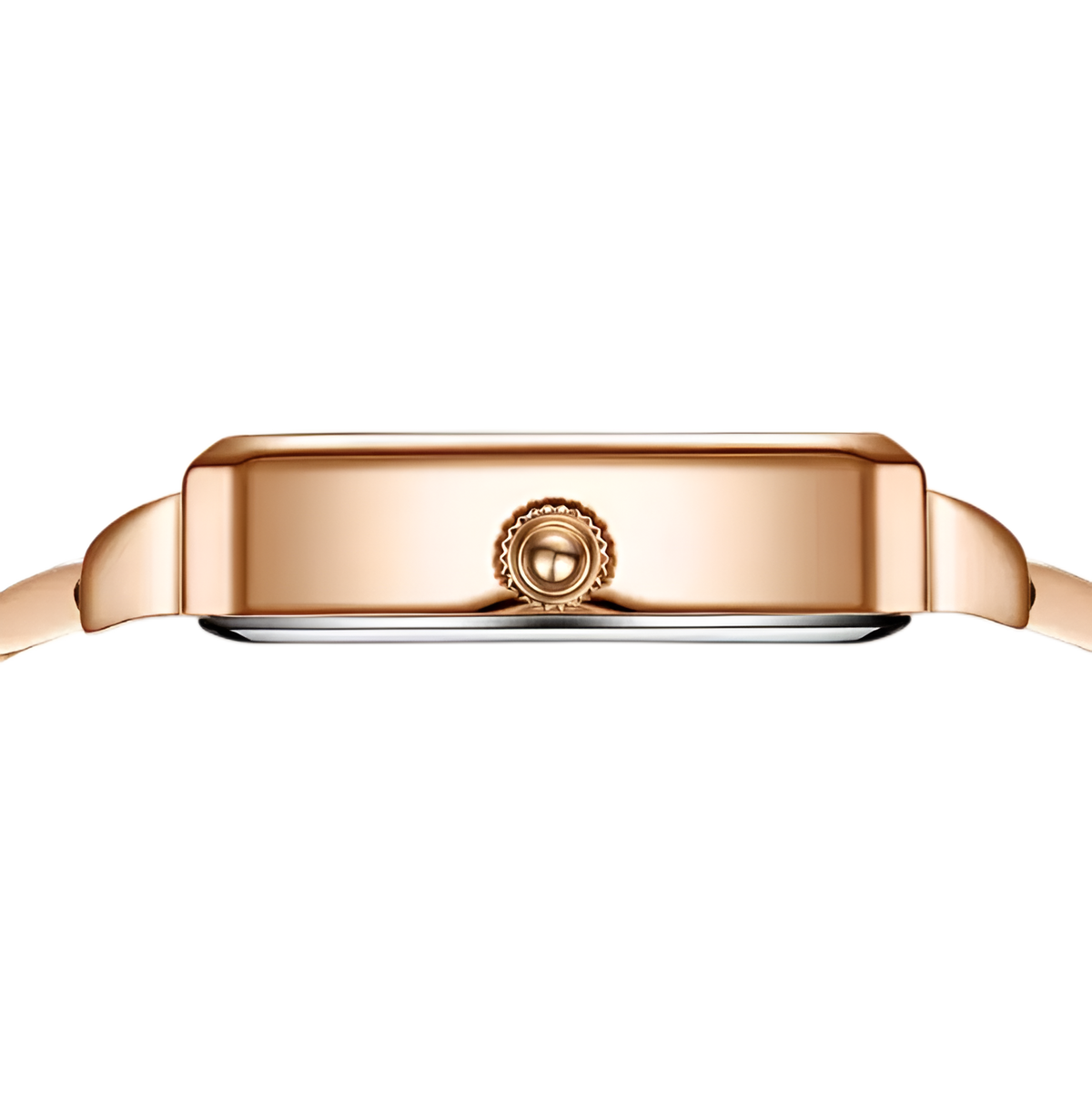Slim Case, Maximum Sophistication